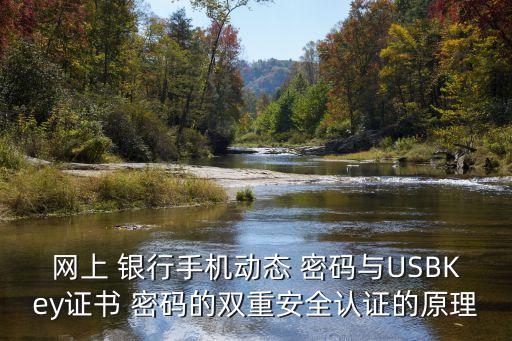 網(wǎng)上 銀行手機(jī)動(dòng)態(tài) 密碼與USBKey證書 密碼的雙重安全認(rèn)證的原理