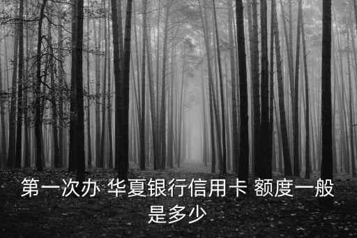 華夏的白金卡額度是多少錢,華夏銀聯(lián)標(biāo)準(zhǔn)白金卡額度起步