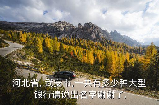 河北省, 武安市,一共有多少種大型 銀行請(qǐng)說(shuō)出名字謝謝了,