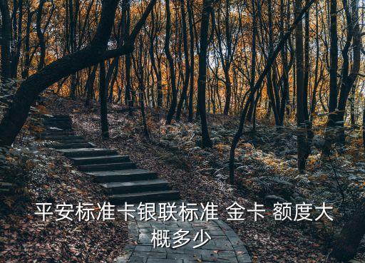  平安標(biāo)準(zhǔn)卡銀聯(lián)標(biāo)準(zhǔn) 金卡 額度大概多少