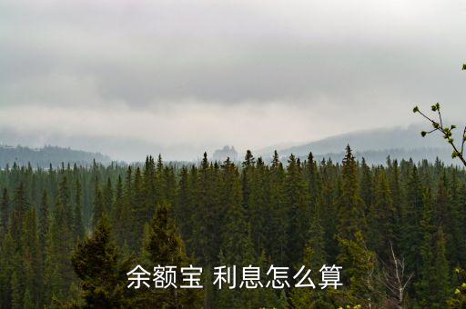 余額寶利息大概多少錢,1500在余額寶有多少利息