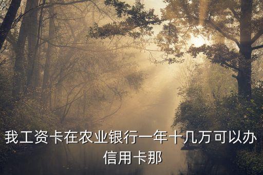 我工資卡在農(nóng)業(yè)銀行一年十幾萬可以辦 信用卡那