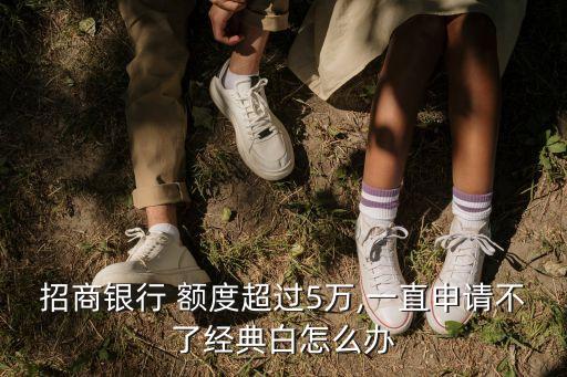 白金分期卡臨時(shí)額度是多少錢,鴻運(yùn)白金分期卡額度