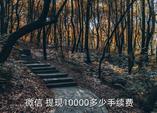 微信提現(xiàn)1萬費(fèi)用多少