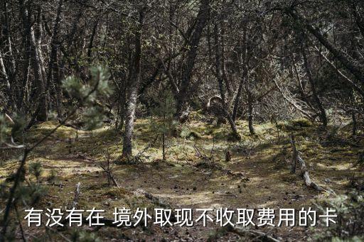 中行境外提現(xiàn)手續(xù)費(fèi)多少,中行向境外中行匯款有手續(xù)費(fèi)嗎