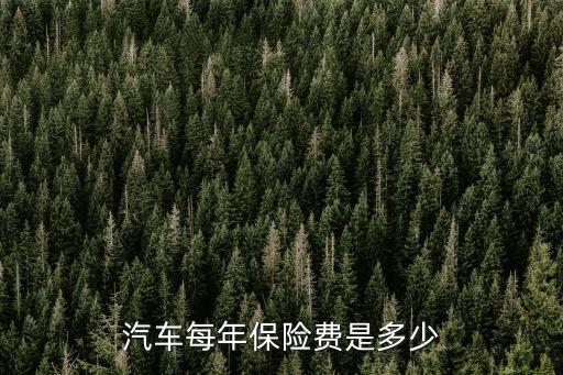面包車一年車險多少錢,一年出2次車險增加多少錢