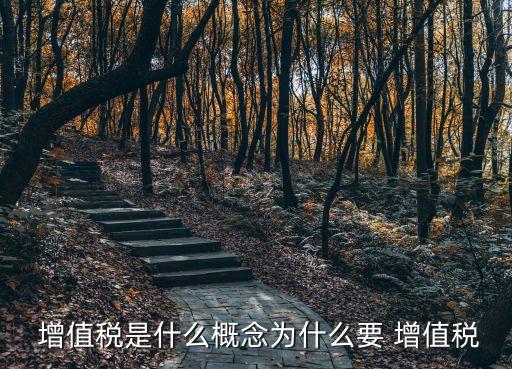 增值稅是什么概念為什么要 增值稅