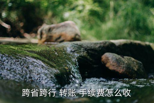 異地同行柜臺(tái)轉(zhuǎn)賬手續(xù)費(fèi)是多少