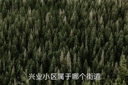  興業(yè)小區(qū)屬于哪個街道