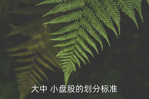 市值多少算小盤股,市值200億算小盤股嗎