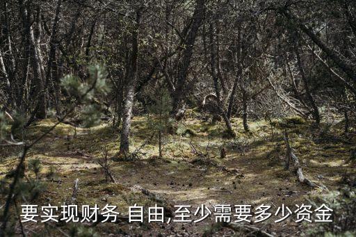 財(cái)富自由多少錢,上海財(cái)富自由得多少錢