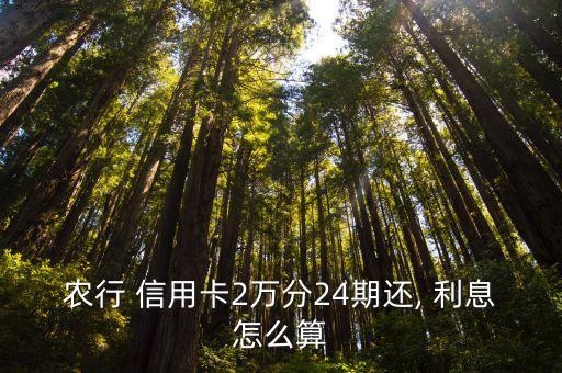 農(nóng)行 信用卡2萬(wàn)分24期還, 利息怎么算