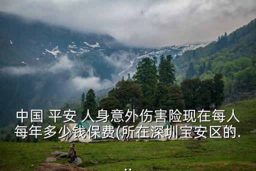平安人身險交多少錢,平安團體人身險