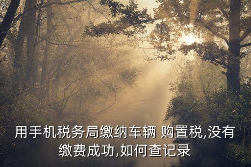 用手機(jī)稅務(wù)局繳納車(chē)輛 購(gòu)置稅,沒(méi)有繳費(fèi)成功,如何查記錄