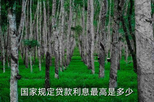高利貸最少可以貸多少錢,網貸超過多少算高利貸