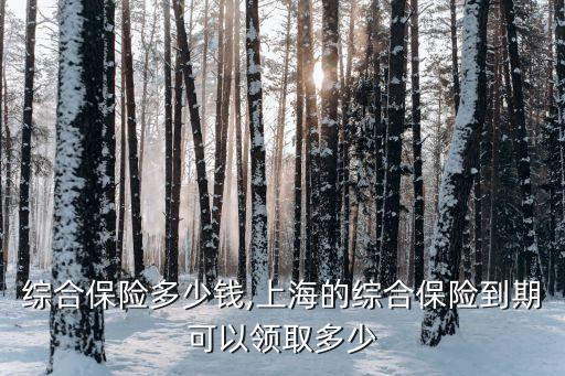 上海綜合保險多少錢,上海的綜合保險到期可以領取多少