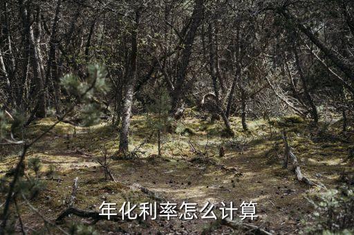  年化利率怎么計算