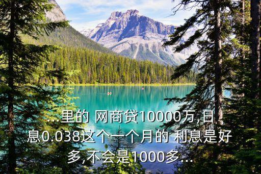 ...里的 網(wǎng)商貸10000萬,日息0.038這個(gè)一個(gè)月的 利息是好多,不會(huì)是1000多...