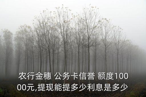 農(nóng)行公務(wù)卡的額度是多少,農(nóng)行信用卡公務(wù)卡額度