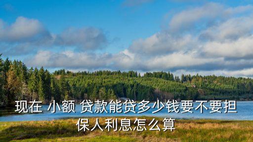 現(xiàn)在 小額 貸款能貸多少錢要不要擔保人利息怎么算