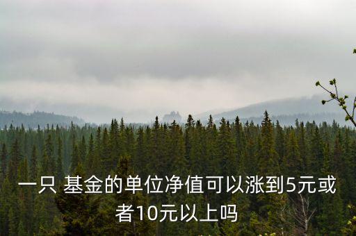 一只 基金的單位凈值可以漲到5元或者10元以上嗎