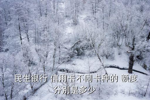  民生銀行 信用卡不同卡種的 額度分別是多少