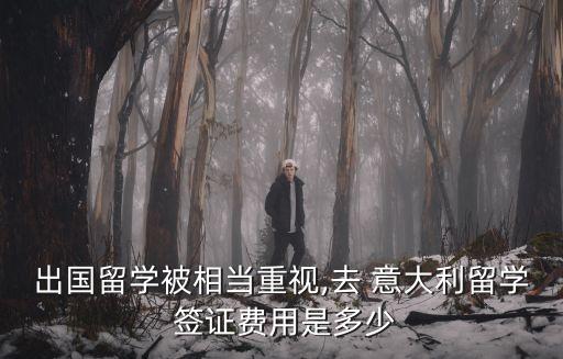 出國(guó)留學(xué)被相當(dāng)重視,去 意大利留學(xué) 簽證費(fèi)用是多少
