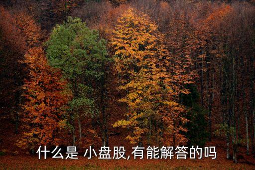 什么是 小盤(pán)股,有能解答的嗎