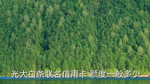  光大白條聯(lián)名信用卡 額度一般多少