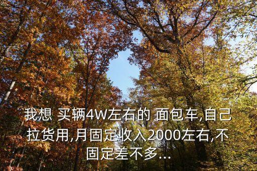 我想 買輛4W左右的 面包車,自己拉貨用,月固定收入2000左右,不固定差不多...