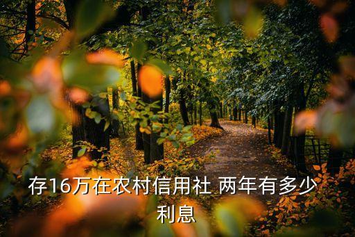 16萬(wàn)存兩年利息多少錢,200萬(wàn)存兩年利息多少