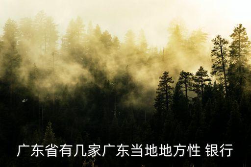 廣東省有幾家廣東當(dāng)?shù)氐胤叫?銀行
