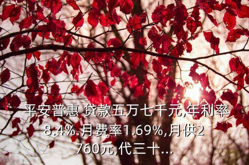  平安普惠 貸款五萬七千元,年利率8.4%.月費率1.69%,月供2760元,代三十...