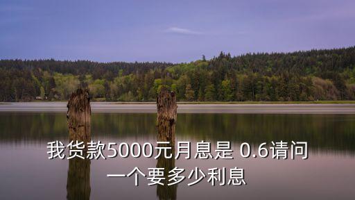 我貨款5000元月息是 0.6請(qǐng)問(wèn)一個(gè)要多少利息