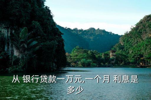 從 銀行貸款一萬元,一個月 利息是多少
