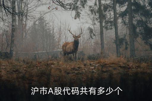 滬市現(xiàn)有多少只股票,滬市股票最高點是多少