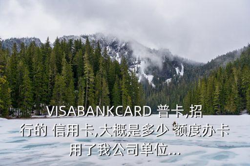 招商visa標(biāo)準(zhǔn)信用卡普卡額度是多少,visa標(biāo)準(zhǔn)信用卡普卡年費(fèi)