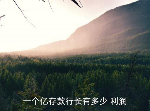 銀行利潤是多少,那個(gè)行行存錢利息高