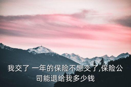買了一年保險(xiǎn)退多少錢,一年交12000的保險(xiǎn)能退多少