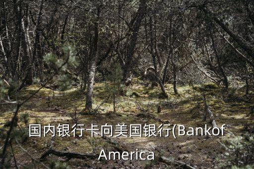 國內銀行卡向美國銀行(BankofAmerica