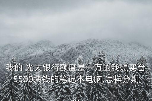 我的 光大銀行額度是一萬(wàn)的我想買臺(tái)5500塊錢的筆記本電腦,怎樣分期...
