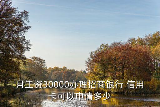 年薪三十萬辦信用卡多少額度,存款三十萬能辦大額信用卡嗎