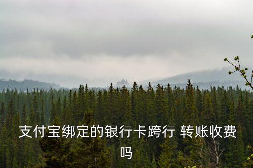 手機(jī)支付寶跨銀行轉(zhuǎn)賬手續(xù)費(fèi)是多少,支付寶網(wǎng)商銀行轉(zhuǎn)賬到銀行卡要手續(xù)費(fèi)嗎