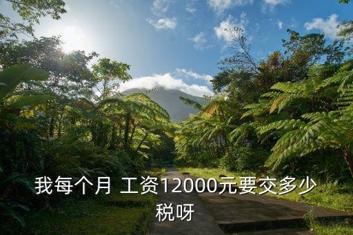 我每個(gè)月 工資12000元要交多少稅呀