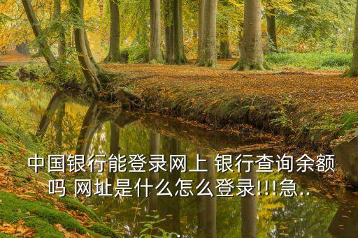  中國銀行能登錄網(wǎng)上 銀行查詢余額嗎 網(wǎng)址是什么怎么登錄!!!急...