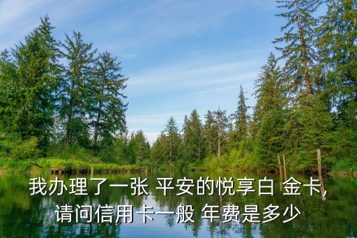 我辦理了一張 平安的悅享白 金卡,請問信用卡一般 年費是多少
