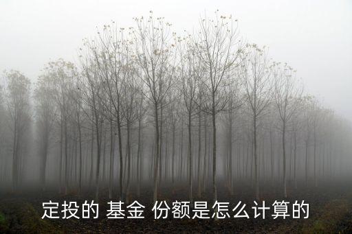 定投的 基金 份額是怎么計(jì)算的