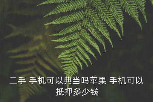 手機(jī)能抵押多少錢,手機(jī)抵押了沒給錢拿回來