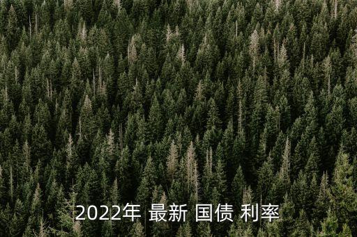 2022年 最新 國(guó)債 利率