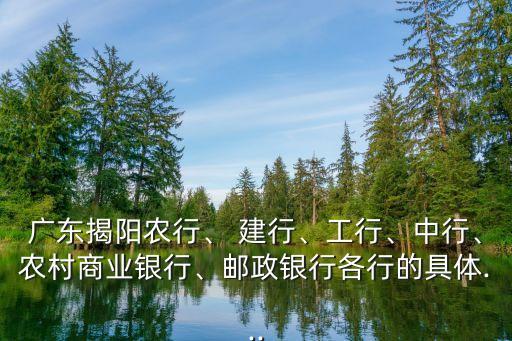 廣東揭陽農(nóng)行、 建行、工行、中行、農(nóng)村商業(yè)銀行、郵政銀行各行的具體...